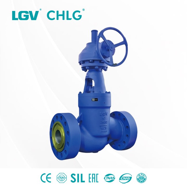 Cast Steel Globe Valve &mdash; Lianggu product image