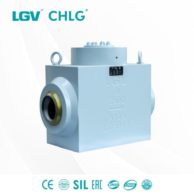 Forged Steel High Pressure Check Valve &mdash; Lianggu product image